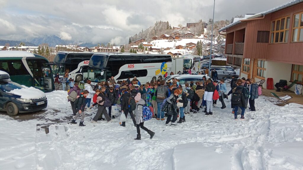 WhatsApp Image 2026 03 15 at 11.45.39